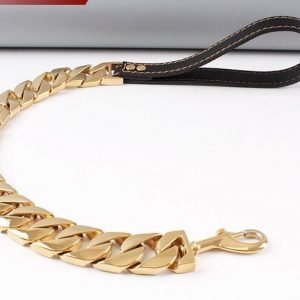 Gold-Leash-pet-collar