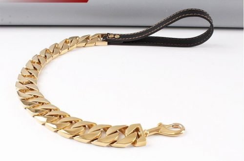 Gold-Leash-pet-collar