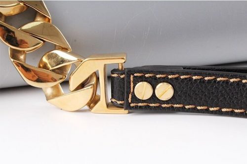 Gold-Leash-pet-collar-2