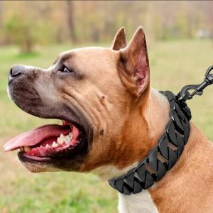 Rock-black-dog-chain-collar-2