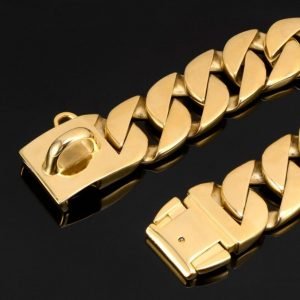 Luxury Gold Dog Collar