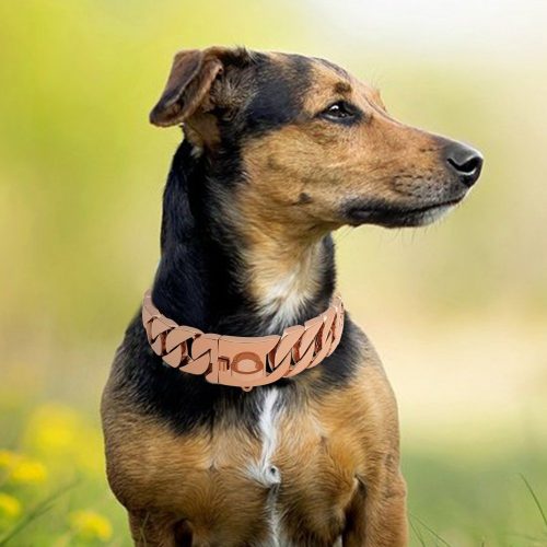 rock-rose-gold-dog-collar-2