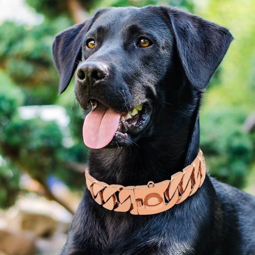 rock-rose-gold-dog-collar-3