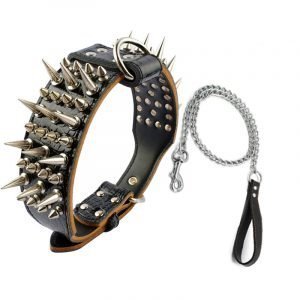 dog-spike-collar